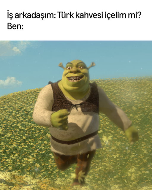 Düşündükçe mutlu oluyorum. 👉🏻 💖 👈🏻

📸: #Shrek2