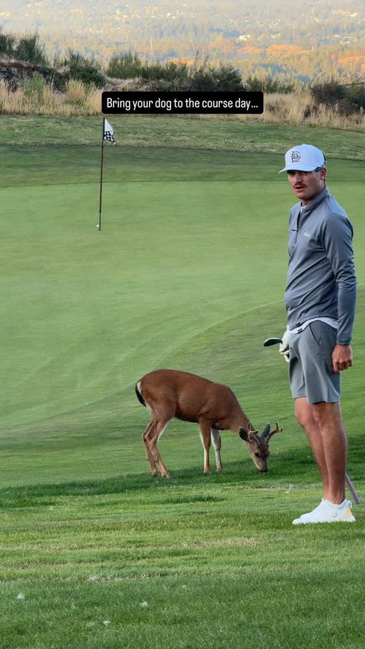 Hey can I pet your dog? #golf