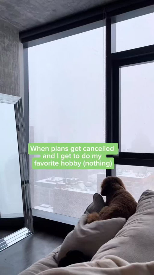 Staying in to enjoy my rent and no one’s mad about it.

🎥Karadanelle_ on TT

#StayingIn #CozyVibes #ApartmentDog