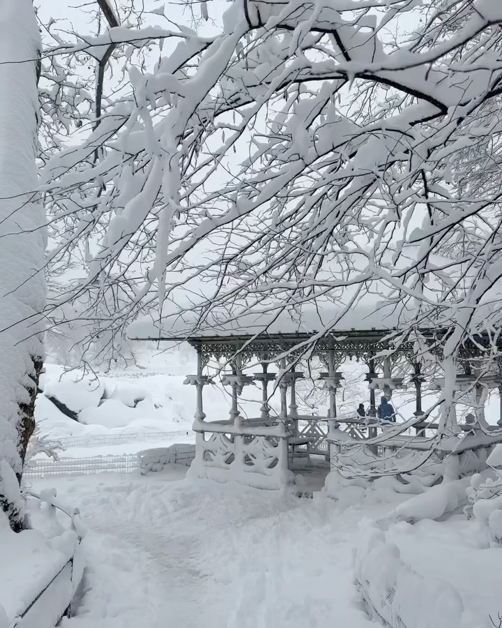 Blizzard in Central Park 2026 ❄️
New York City was transformed into a winter postcard yesterday after a powerful blizzard swept through the Northeast, dropping an impressive 19 inches of snow in Central Park.. One of the city’s biggest snowfalls in years.

The magic of a snow-covered skyline was captured on the morning of February 23, 2026, as fresh powder blanketed the trees, pathways, and iconic park views.

Tag someone who loves Central Park in the snow. 🌨️✨
Via: @nyclovesnyc 

📍Central Park, Manhattan, New York City 

#blizzard2026 #centralpark #newyorkcity #nycblizzard #nyc