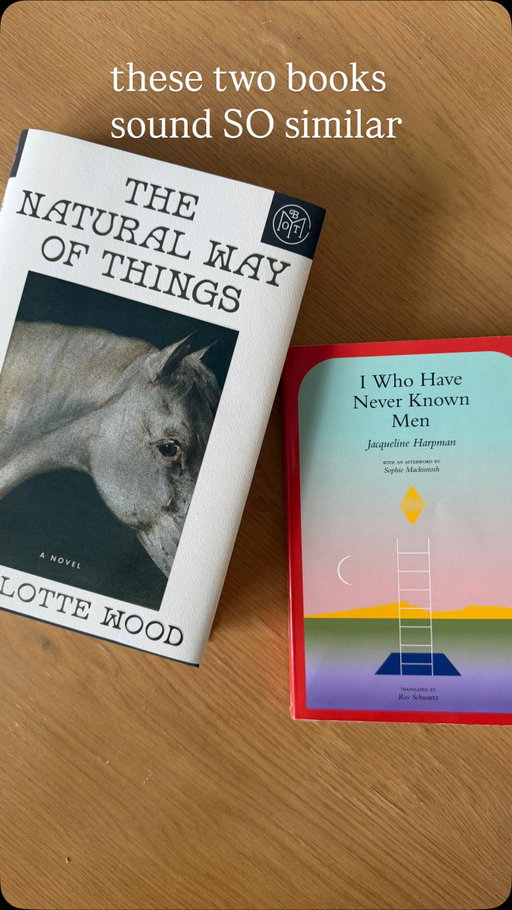Don’t these books sound so similar?? I’ll report back with a full breakdown of each!🫡🫡 #bookstagram #iwhohaveneverknownmen