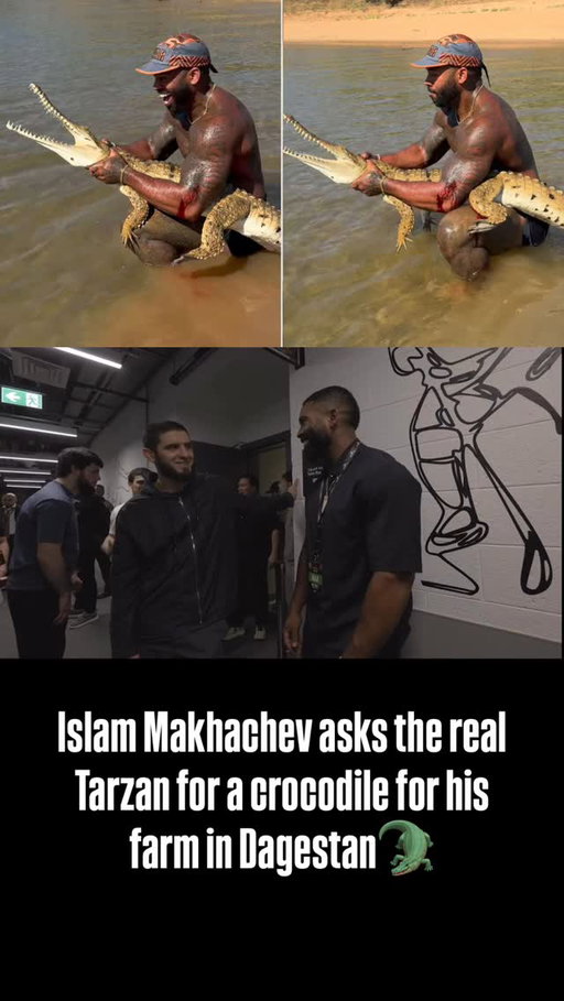Islam Makhachev asks the real Tarzan for a crocodile for his farm in Dagestan🐊

🗣️Islam: “How much meet they need?”
🗣️Tarzan: “You got to feed him some sheep or horse meet”
🗣️Islam: “I have thousand sheep”
🗣️Tarzan: “Easy food”
Islam: “For one month? Not good”

🎥 @therealtarzann @islam_makhachev