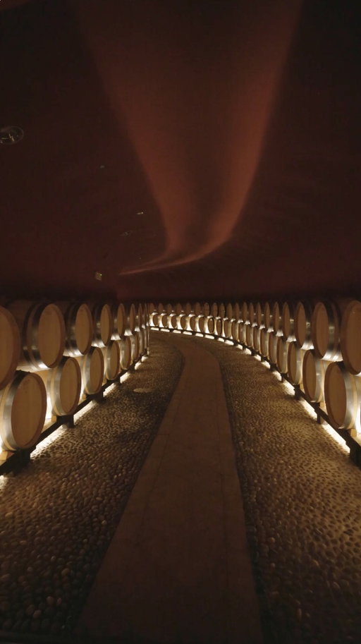 Under the vaults of the Poggio Casciano cellar, time slows down. It becomes silence, anticipation, transformation. The wine that rests here knows there is no rush, only the right moment to be revealed.

Explore the world of Ruffino, link in bio.

•

Sotto le volte della cantina di Poggio Casciano, il tempo rallenta. Diventa silenzio, attesa, trasformazione. Il vino che riposa qui dentro sa che non c'è fretta, solo il momento giusto per essere svelato.

Esplora il mondo Ruffino, link in bio.

#Ruffino1877