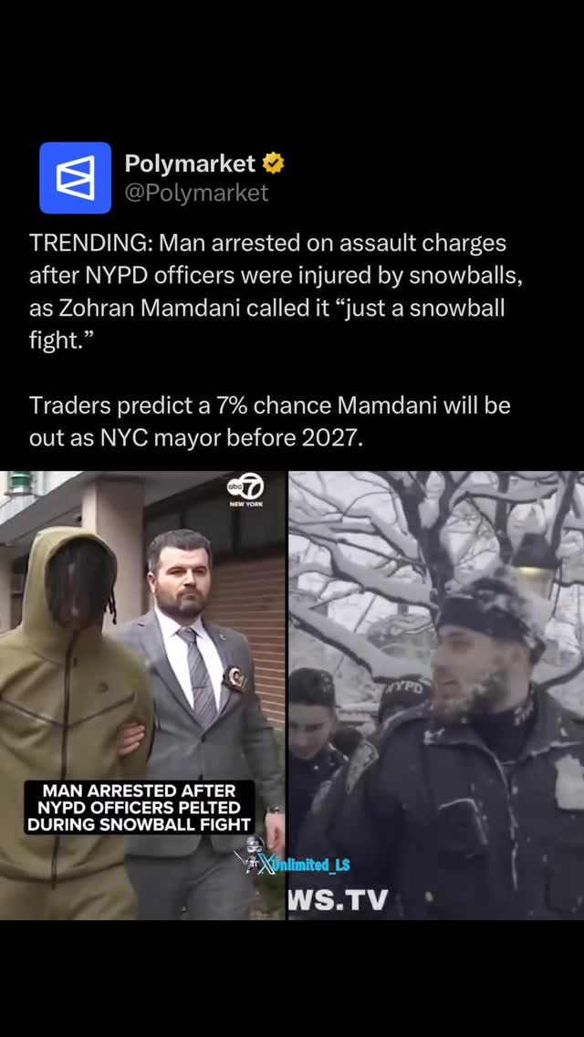 A man was arrested after a snowball fight in Manhattan, prompting criticism from Zohran Mamdani, who said the response was “an absurd misuse of police resources.”