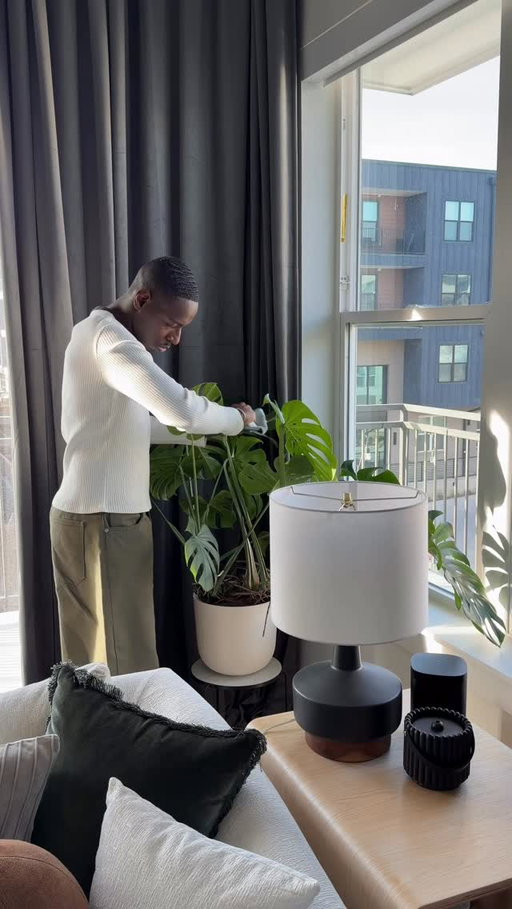 I’m just a guy with adult money who like to buy stuff for his home 🏡🙌🏾 

#homedecor #homelifestyle
#interiordesign #blackhomedecor #homeessentials