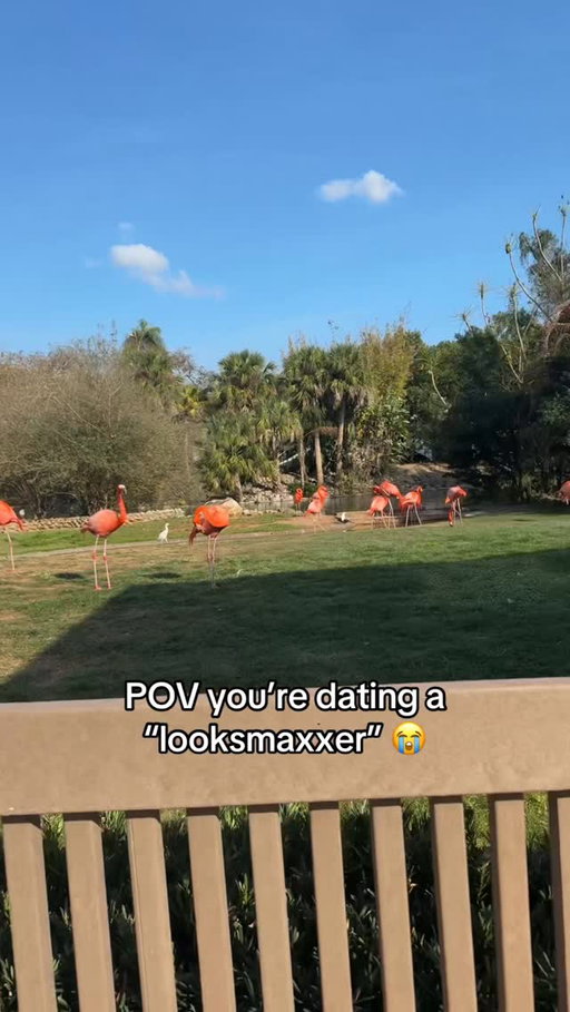 sub 5 flamingocell never stood a chance #looks #GlowUp #ascend #explore