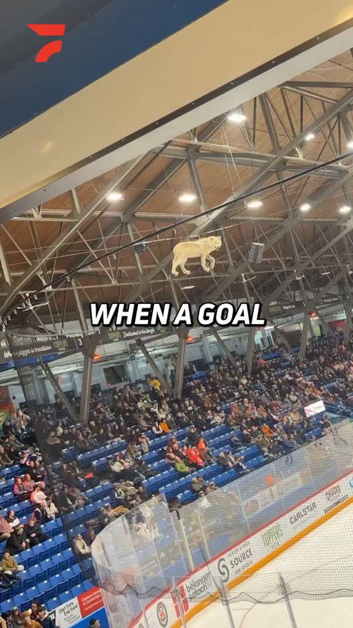 What that dog doin?

#ohl #hockey