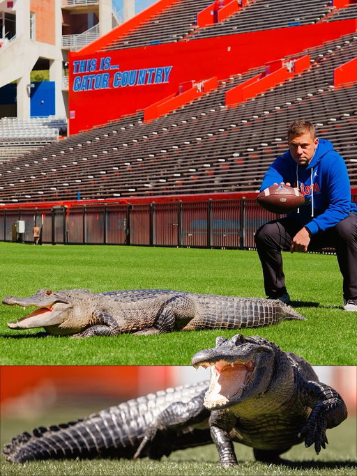 Just a couple gators 🐊 

@gatorlandglobal | @gatorland_orlando