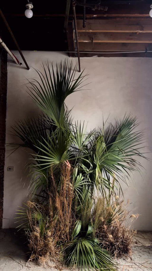 This is our vision of Savannah, Georgia. The first in a new series we’re calling Love Letters, where we transform our travels into botanical art.

Made from foraged palmetto fronds, wild grasses, and Spanish moss, this piece is inspired by Savannah’s haunting beauty, its history and its nature.

We wanted it to feel like it was lifted from an old Southern cemetery, softened by a layer of heavy mist.