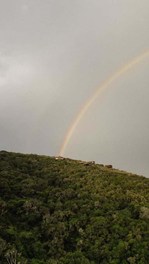 A weekend here 🤍 send this to someone you would love to share this offline escape with!

Imagine spending a slow weekend in a house surrounded by nature along the Garden Route in South Africa. A place where the ocean stretches endlessly in front of you, and soft rain taps gently against the windows.

The kind of rain that doesn’t ruin your plans — it is the plan.

No phone.
No internet.
No notifications.

Just the sound of the waves, the scent of wet earth, and nature quietly reminding you to slow down. 

📍Cliff Top Houses, Ballots Bay, South Africa (5h drive from Cape Town)

—
#slowlife #nature #villa #southafrica