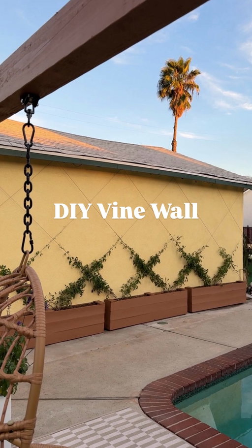 Comment “VINE WALL” and I’ll send you the wire and irrigation kit we used!

Let Operation Mystery Flower Commence! 🫡🌸

🥵We have tried putting seating up against this wall as well as a grill area, but we just end up just dripping in sweat because the sun beats down on here all day long!

🌱So I looked up some vining plants that thrive in full sun and found that jasmine would do great! Now we just have to run an irrigation line to keep these guys alive! 

❓Next up is the last section of the side of the house where I want to add hanging flowers and touch up the paint, so would you paint the doors green like the window trim? Or should I just paint the trim green?

🧖🏼‍♀️After that is our Sauna Wellness area where we’re so exited to be installing @decks for the base of it all but we don’t have a sauna picked out yet, so let me know if you have any recommendations!! 

#backyardmakeover #vines #sauna #homewellness #neverleaving