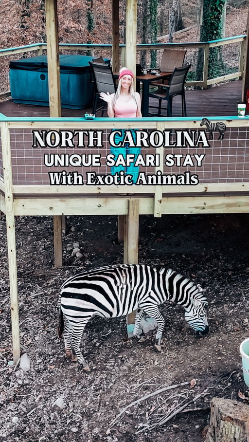 I still cannot believe this place is real… 😍✨
 
There is a literal safari tent Airbnb 🏕️ right here in North Carolina 🦓🌿 where you wake up with zebras in your backyard!!! @zootasticpark 

Link to book: 

https://www.better-vacations.com/?utm_source=ig&utm_medium=social&utm_content=link_in_bio 

It feels like something straight out of a movie 🎬

You can safely feed them 🥕🌾, watch them roam, and yes — they’re fenced in, so it’s totally secure ✅

Kids would absolutely lose their minds 🤯… honestly, I was freaking out and I’m an adult!!! 😂

Plus, the inside is so cozy 🛏️✨ AC, heat, fridge, all the amenities — everything you need to fully relax 🫶

This is hands down one of the most epic and unique Airbnbs I’ve ever stayed at 🙌

It’s located at Zootastic Park in Troutman, NC 📍 and you can book the safari tents through Better Vacations NC.

🚗 Just about 2.5 hours from Raleigh…

Which honestly makes it sound like the perfect easy weekend escape 👏🦓✨

Tag who you’re bringing 👇 and follow me @raleighwanderlust for more wild stays 🦒🌍✨ @zootasticpark 

#ZootasticPark
#TroutmanNC
#LakeNormanNC
#northcarolina #airbnb