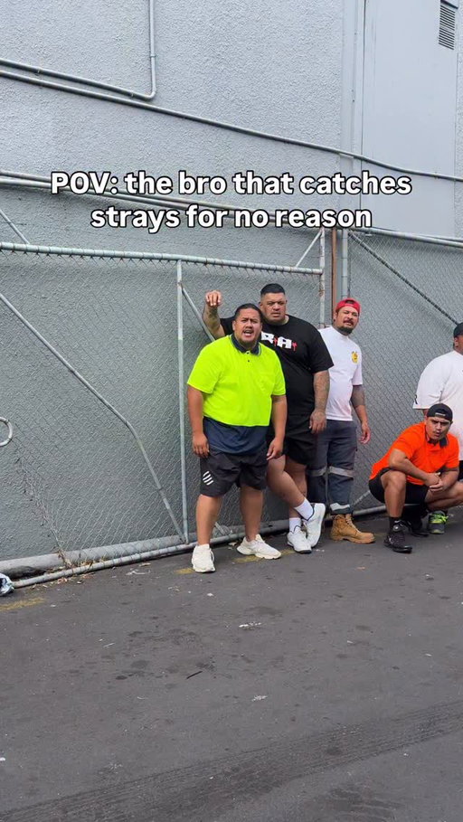 Poor guy out here catching strays🤣🤣🤣🤣