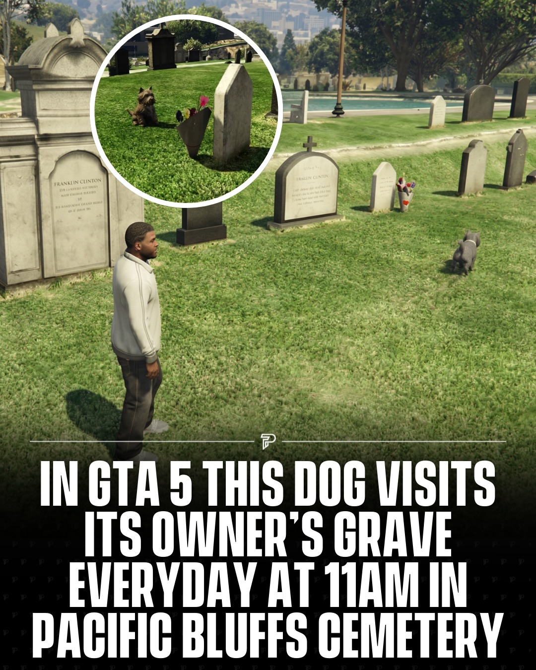 In “GTA V,” there is a small hidden detail that hits way harder than most missions. If you visit Pacific Bluffs Cemetery around 11 a.m. in-game, you can find a lone dog sitting at a specific grave, quietly visiting its late owner every day.

Fans have pointed out that this Easter egg is believed to be a tribute to Greyfriars Bobby, a real dog from 19th century Scotland who reportedly spent 14 years guarding his owner John Gray’s grave until his own death in 1872.

It is one of the many tiny touches Rockstar hid in “GTA V,” but this one turns a chaotic open world game into a surprisingly emotional moment for anyone who stumbles across it.

#Pubity #Viral #Gaming