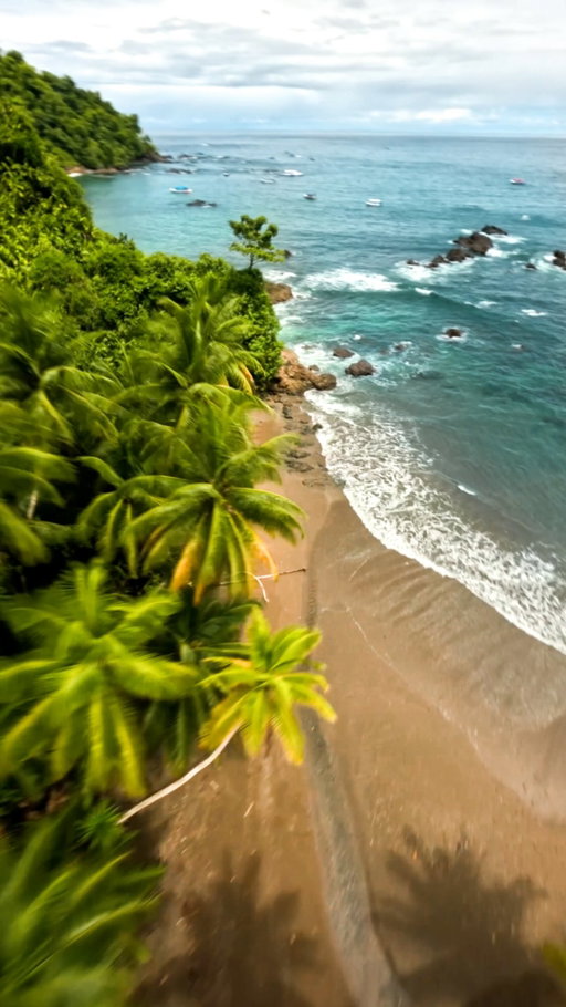 POV: You’re a bird in Costa Rica 🌴

#costarica #visitcostarica #fpv #drone