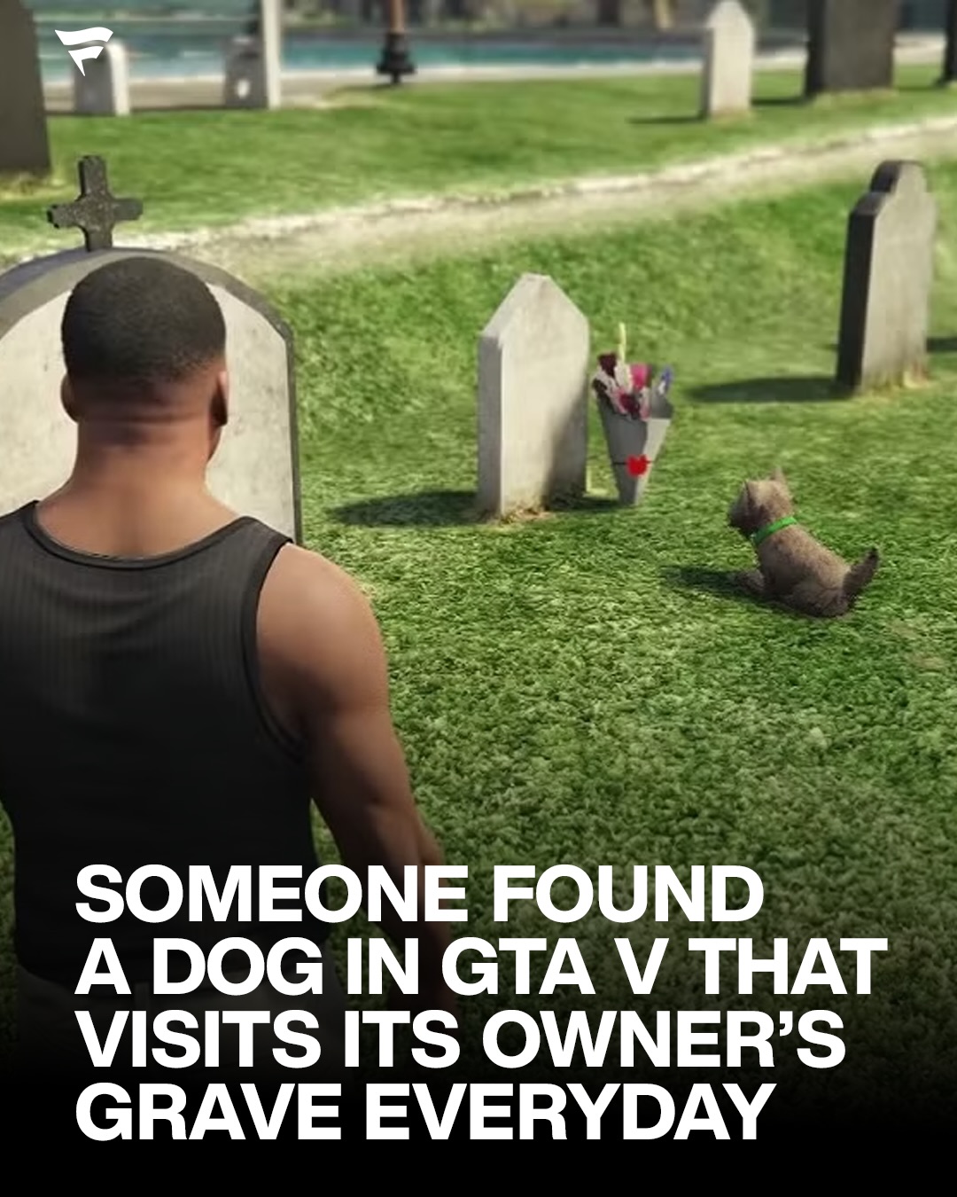 In GTA V, every day around 11 AM in-game time, a lone dog can be found walking through Pacific Bluffs Cemetery, where it comes to rest in front of a specific grave. While the dog can spawn in random colors, its breed remains the same, and the routine never changes.

The scene is widely believed to be Rockstar’s tribute to Greyfriars Bobby, a famous Skye Terrier from 19th-century Scotland who reportedly stood guard by his owner John Gray’s grave every day for 14 years.

Hidden in plain sight among the chaotic open world, this touching easter egg proves that sometimes the quietest moments hit the hardest. And that even in Los Santos, loyalty lives on.

(via @pubity)