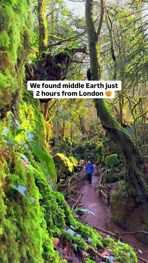 Is this the most magical forest in the UK? 🤔✨️

(FOLLOW @lockdownmadeustravel for more beginner friendly travel inspo)

We recently visited this enchanting forest in the UK. It’s been used to film the likes of Harry Potter 🧙‍♂️Merlin, and Star Wars 🌌. 

📍 Puzzlewood, Perrygrove Rd, Coleford, GL16 8QB

Discover the magic of Puzzlewood 🌿🍃✨️

Tucked away in the Forest of Dean, this ancient woodland is famous for its moss covered rocks, twisted trees, and scenic winding pathways stretching over a mile and a half.

With its enchanted, storybook feel, Puzzlewood looks just like a real-life rainforest, right here in the UK! 🌳🧩

Things you need to know: 👇🏼 

🚗 Its just over 2 hours drive from London, Heathrow
🥾 Bring walking boots & a spare pair of shoes (it gets very muddy in the winter)
🐶 No dogs are allowed 🚫
🚁 No drones or tripods permitted 🚫
💷 Pricing is £9.90 for adults & £8.50 for children.
🌐 Check their website for opening times, as they do vary throughout the year.
☕️ Refreshments & toilets are available on site.

Would you explore this magical forest? 💚
