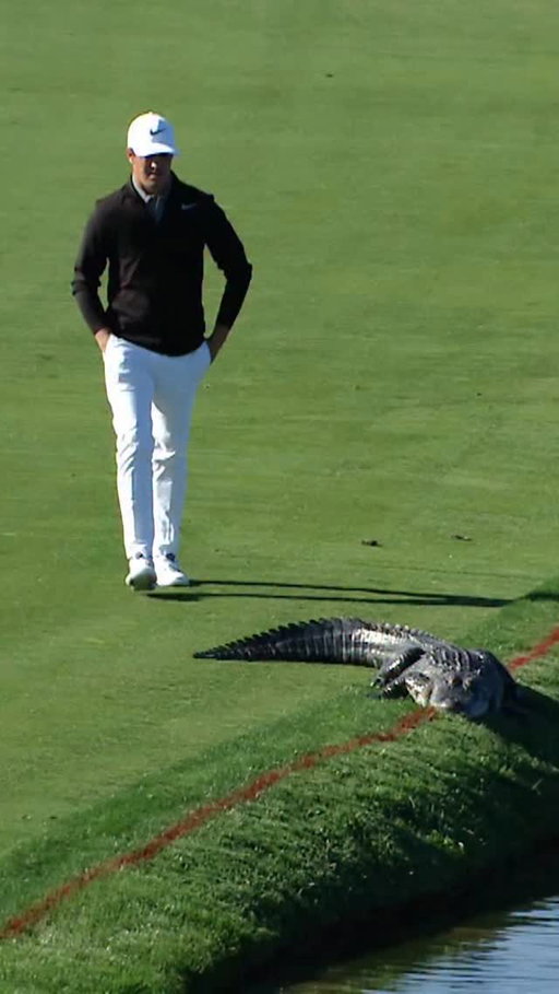 The wildlife is crazy 🐊
Cody Gribble is crazier 😳
#TOURVault