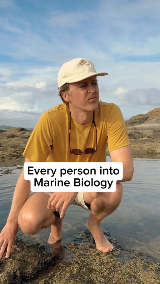 Some pretty spectacular finds down in the halostatic layer #marinebiology #science #ocean #outdoors #comedy