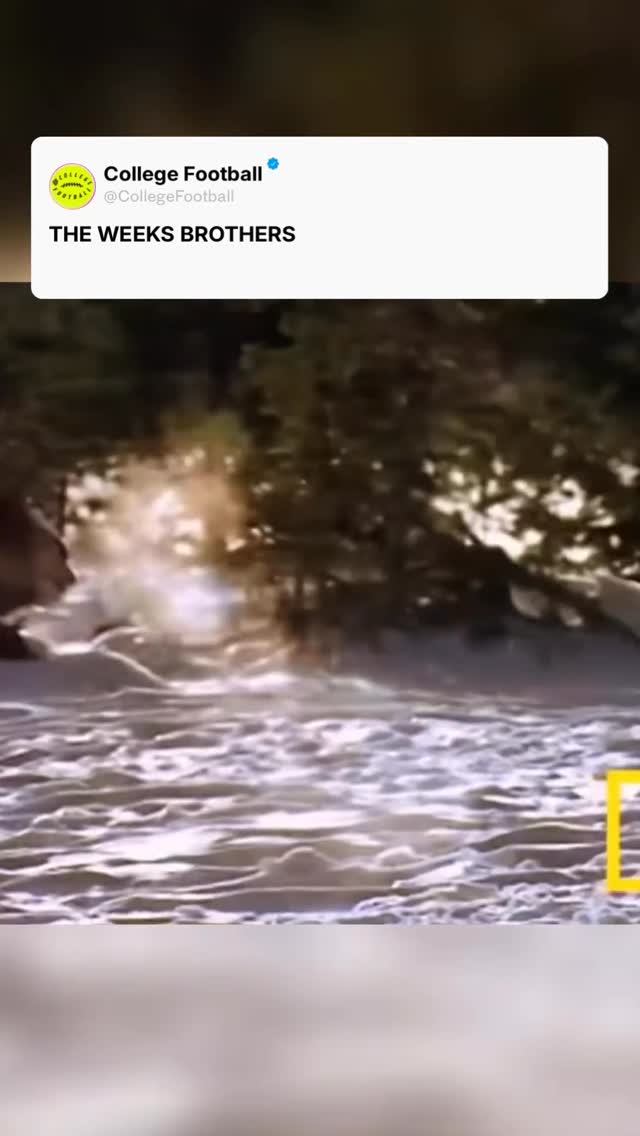 Whit Weeks & West Weeks: The Weeks Brothers

Same last name. Same position. Same mentality.

At LSU Tigers football, the Weeks brothers brought nonstop energy to the defense. Flying sideline to sideline, attacking gaps, and finishing tackles with authority.

Whit’s instincts and range jump off the screen. West brings downhill physicality and relentless effort. Together, they gave LSU a linebacker unit that plays fast and hits harder than most.

Two brothers. One defense. All gas.

Are the Weeks brothers one of the most underrated linebacker duos in college football? 👇

#WhitWeeks #WestWeeks #LSU #LSUFootball #Linebacker #CollegeFootball #CFB #FootballEdit

(via killboppa on TT)