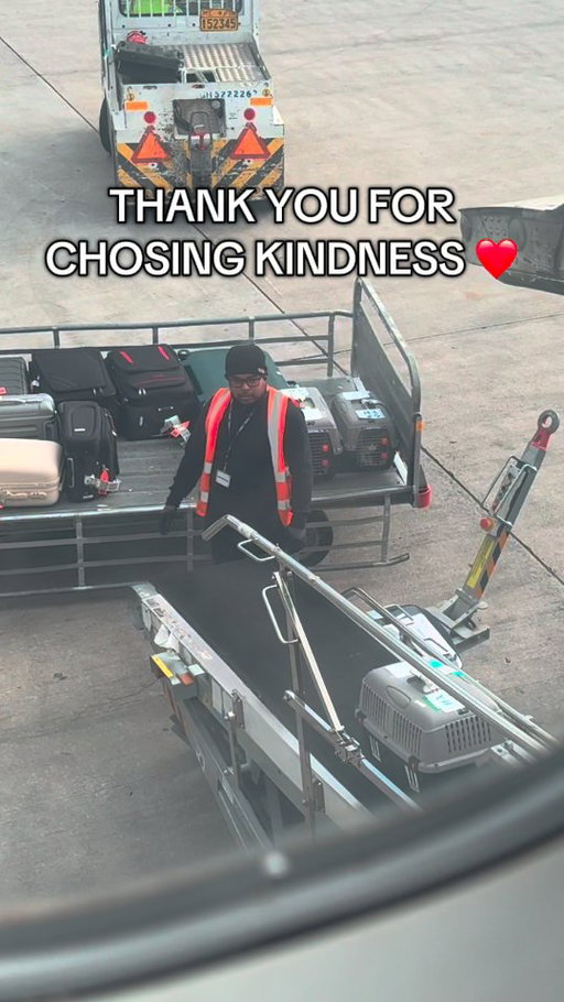 Protect this man at all costs. 🥰 🐕 🐈 

These are rescue animals traveling to their forever homes 🏡 @mcqueen.rescues @_chikitssss 👏