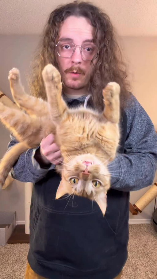 My cats only become sentient when I pull out the @delectablescattreats #delectablespartner #orangecat #catsofinstagram #orangecatsofinstagram #orangecatbehavior #orangeflavoredcat #cat #catdad #catlovers #orangecatsarethebest #funny