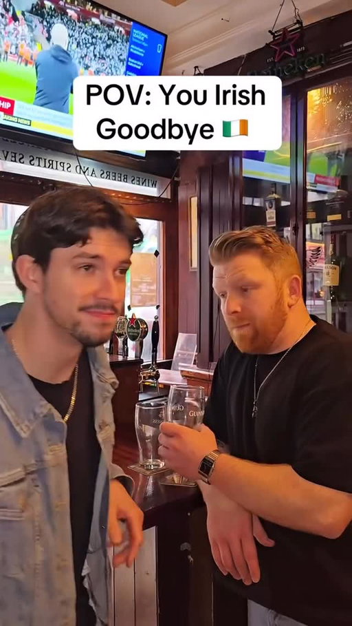 I never saw him again 🍀 

#dublin #ireland #trend #irishgoodbye #funnyreels