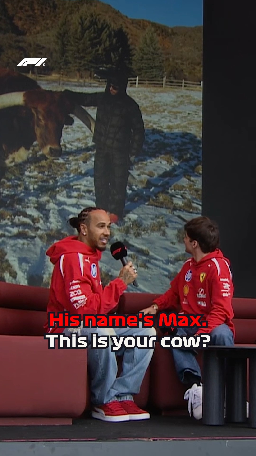 Lewis Hamilton owning a cow named Max wasn't on our 2026 bingo card 🐮😂 

#F1 #Formula1 #AusGP