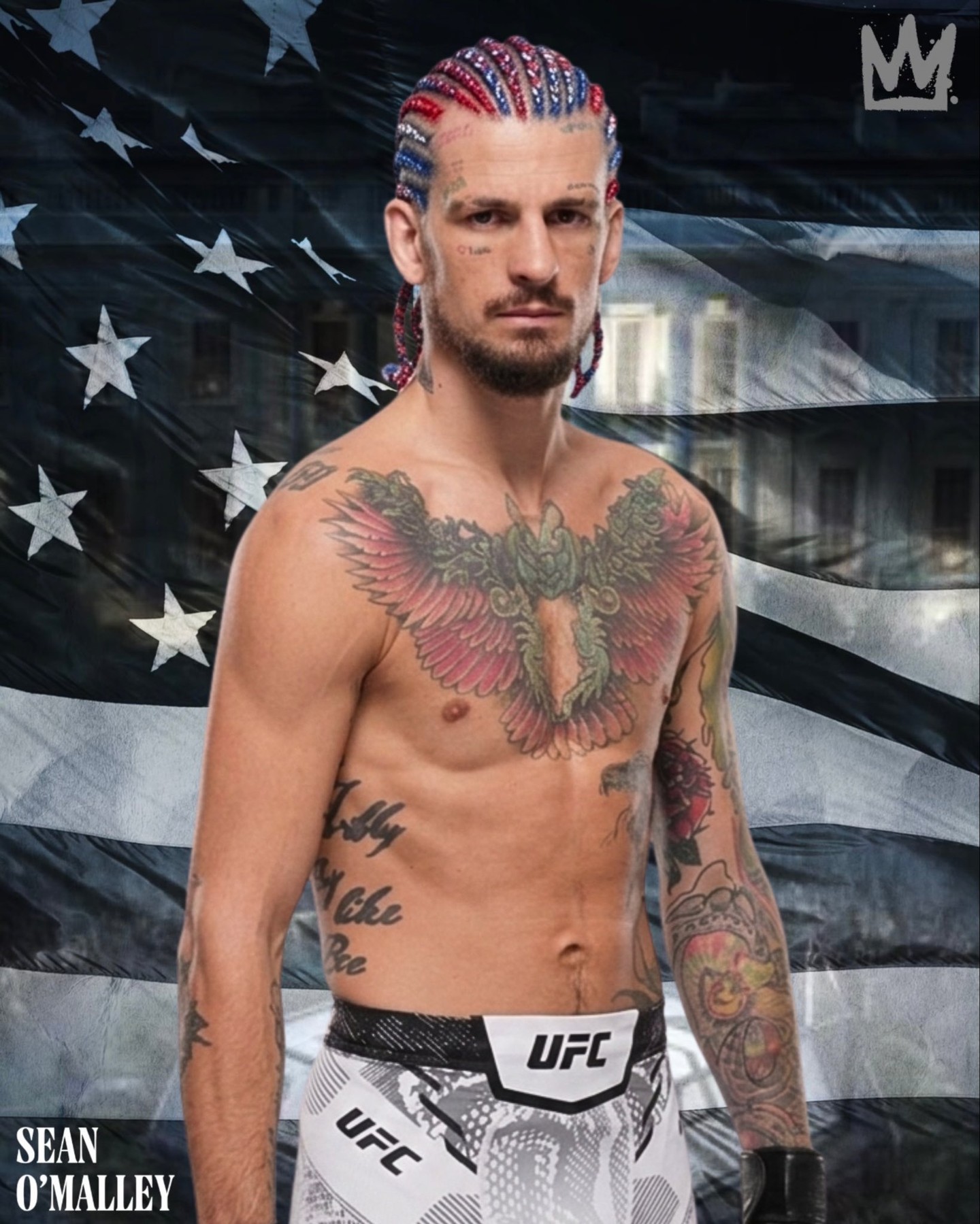 If @SugaSeanMMA is on the White House card, the red, white, and blue braids are going to be tough 🇺🇸🔥