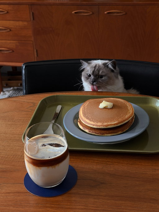 POV: You make pancakes for breakfast
Your cat:
👁️👅👁️

(Cakie even got her own tiny pancakes🥞)
.
.
#catsathome #slowlivinghome #apartmenttherapy #petfriendlyhome #homemoments