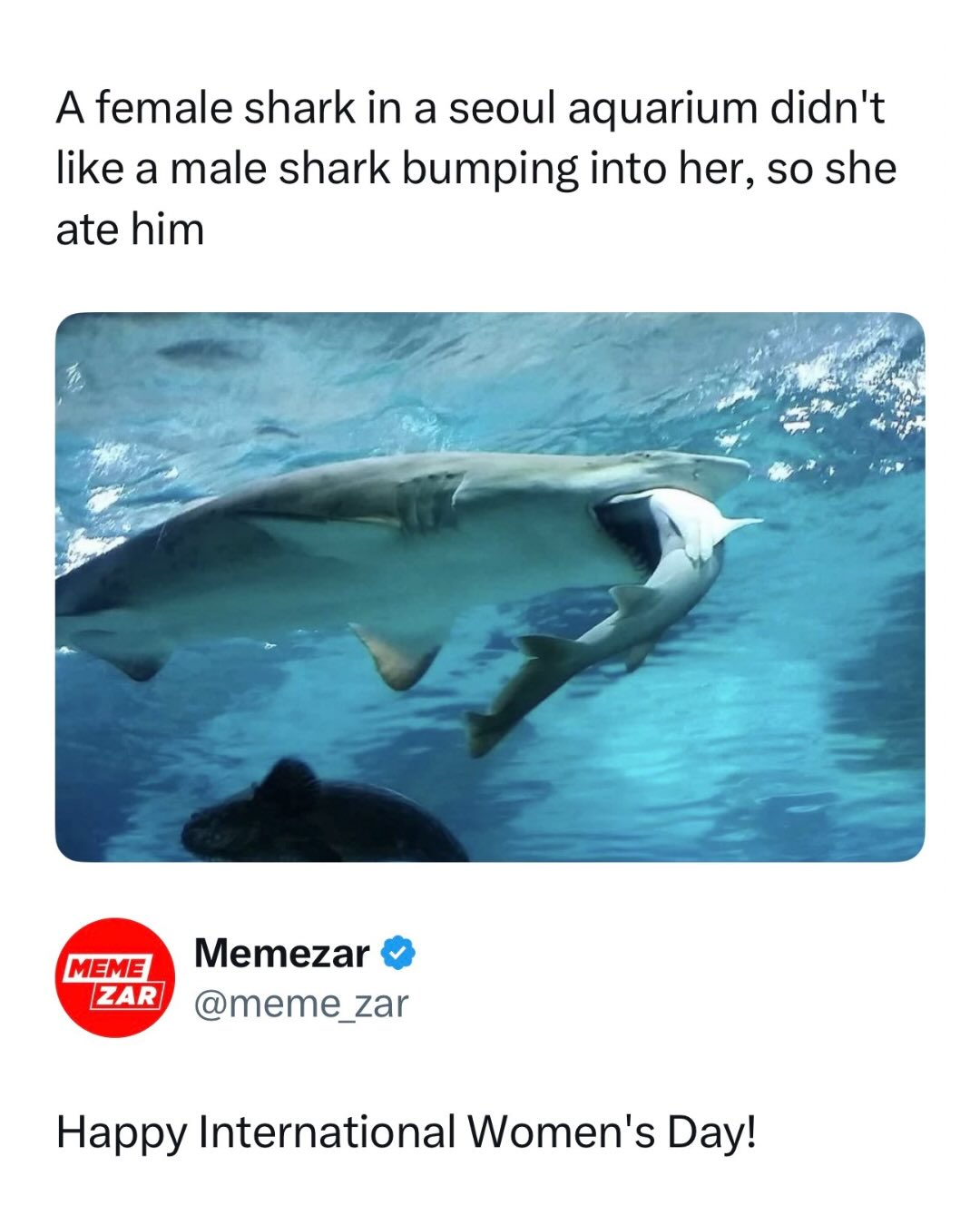 She set a boundary and he crossed it. 

Happy International Women’s Day! 

Like this content? Follow @memezar for more ❤️

#memezar #internationalwomensday #funny #memes