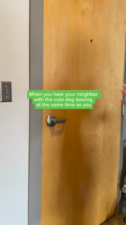 Nothing gets me out my apartment door faster 🐾