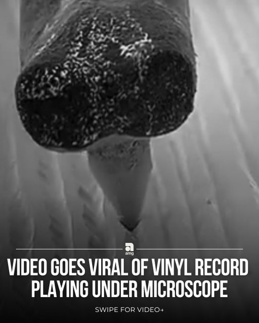 What music actually looks like 👀

Under a microscope, the grooves of a vinyl record reveal the physical waves that create the sound you hear. 

Every vibration from the original recording is etched into the surface.

The needle simply follows the path.

A tiny landscape that holds an entire song.

(Via killaminga/X)