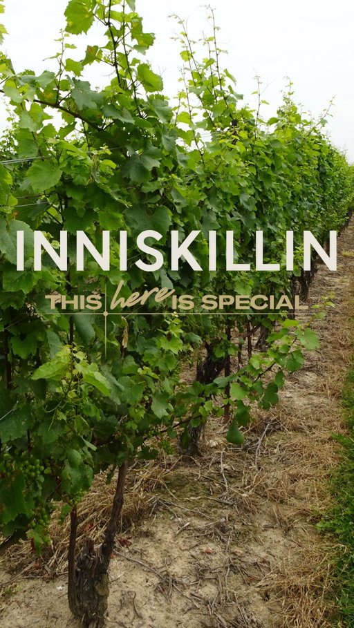 This vineyard is not just rows of vines. It is 5 decades of belief, patience, grit, and excellence. It’s the place where Canadian winemaking changed forever. 🏆

Come walk the rows, pour a glass, and see why this here is special.

Spring is arriving at the estate, and there’s no better time to taste history. 

Book your wine tasting at the link in our bio. 🍷

#Inniskillin #niagarawine #winetasting #premiumwine #spring winery niagaraonthelake
