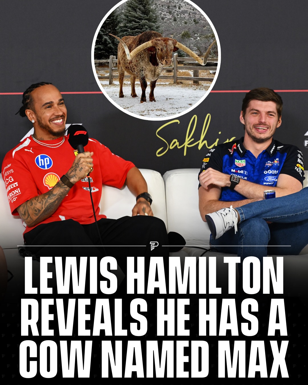 Lewis Hamilton had fans laughing in Melbourne after revealing that one of his cows is named “Max.” Speaking at a fan event in Albert Park ahead of the Australian Grand Prix, the seven time Formula 1 world champion explained that he did not choose the name himself and had inherited the cow that way.

Hamilton also said he has another cow called “Ombre,” with some reports spelling the name as “Hombre,” and described the pair as “like the new Roscoe for me,” a reference to his much loved bulldog Roscoe.

(via: @lewishamilton)

#Pubity #Viral #Sports