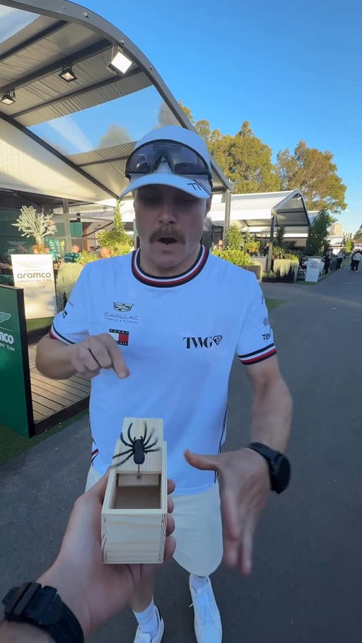 You never know when you might see a spider in Straya 🕷️

#F1 #VCARB #AusGP