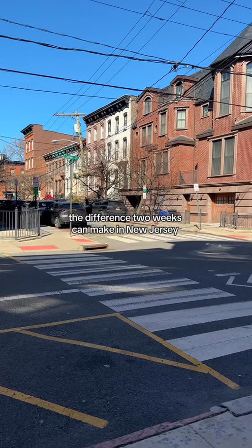 pls don’t let it be false spring pls don’t let it be false spring 😭😭🙏

Very different Hoboken scenes, just two weeks apart 🎥
