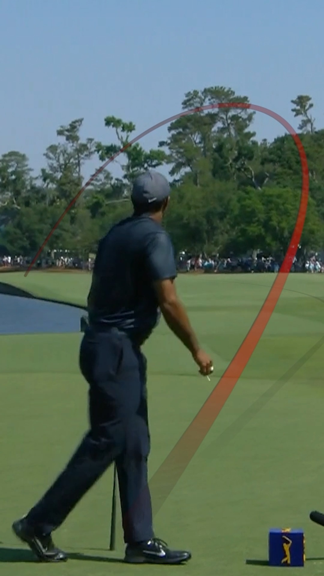 Tiger Woods and the 18th tee @THEPLAYERS.
A work of art 🖼️

#TOURVault