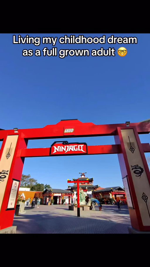 Disney adults got nothing on me 😤

#lego #ninjago