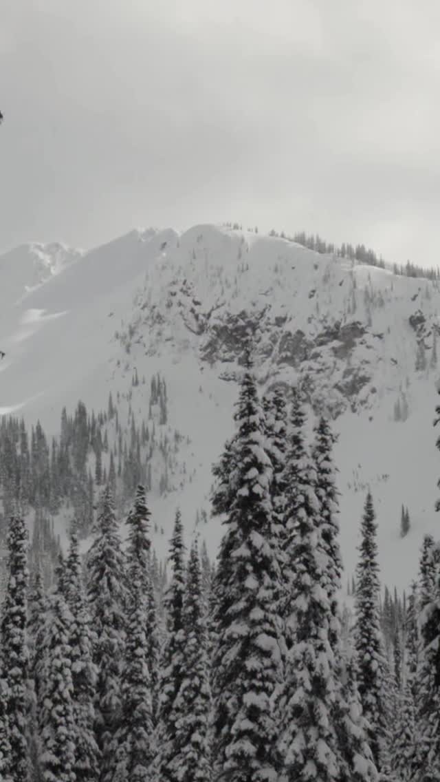 It’s time to get this party started! 24 riders, including Turtlebox Ambassador @bmo_thebarrelseeker will drop in to the Selector Venue in Montana Bowl @revelstokemtnresort TODAY for day 1 of @naturalselectionsnow. 

Watch @naturalselectiontour LIVE on Red Bull TV starting at 1PM PT. Find the link in bio!