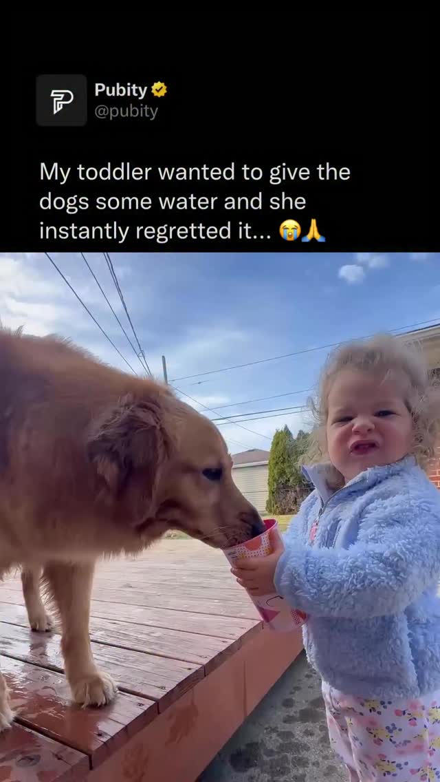 😭

Dogs’ mouths often smell because of bacteria that build up on their teeth, gums, and tongue. Just like in humans, leftover food particles mix with bacteria and form plaque, which can produce foul-smelling sulfur compounds that cause bad breath. If plaque hardens into tartar or leads to gum infections such as periodontal disease, the odor becomes stronger. Diet, lack of dental cleaning, and chewing on certain things can also contribute to the smell.

(Via Collab)

#dogs