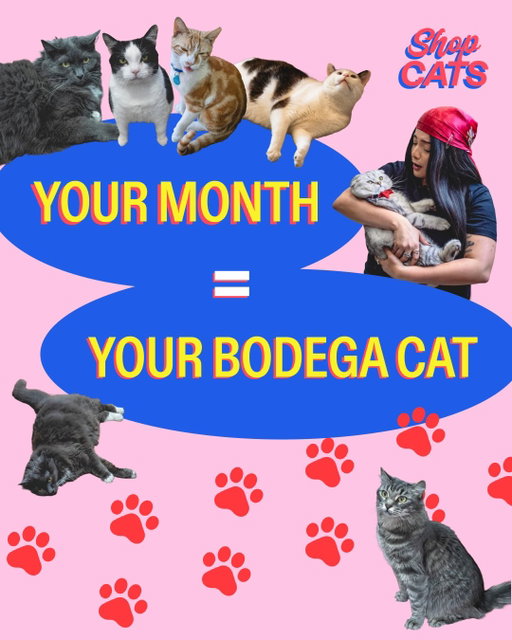 Shop Cats is a series that spotlights the working cats of New York City bodegas, bookstores, and small businesses. Hosted by comedian @michelladonna, the show interviews owners and patrons, featuring a hunter or gatherer test for each cat. 

The series highlights the community, culture, and stories behind NYC’s iconic, whiskered bodega managers. Episodes often feature the cat’s backstory, their daily lives, and their interaction with the neighborhood.

The show has documented hundreds of cats across the city.  

Designed by @remylove1 
Photography @darkenne.v 

#friend #goofy #animalshots