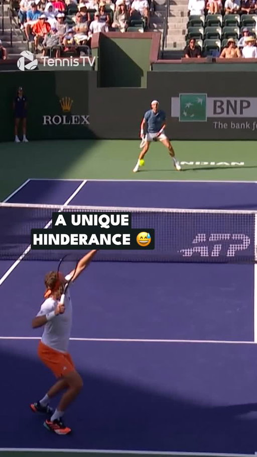 Never a dull moment in tennis paradise 😅 

#tennis #tennistv #atp #sport