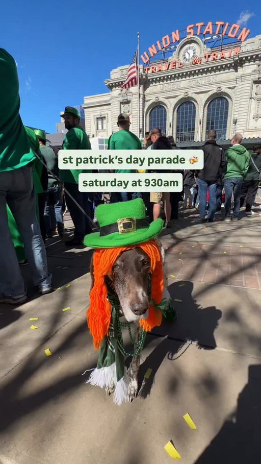 I love a dog in costume 🍀🧡 see lots this weekend at the denver st. patrick’s day parade on Saturday @ 930am!

#denver #colorado #thingstodoindenver
