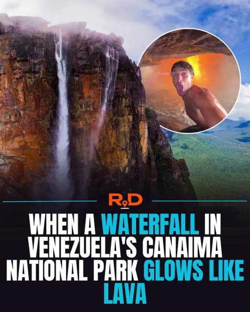 @danielillescas caught a remarkable moment inside Canaima National Park.

For a brief instant, when the sun sits at just the right angle and the sky is perfectly clear, sunlight passes through the falling water and transforms the entire cascade into what looks like liquid fire, just like “firefall” in Yosemite National Park.

Scenes like this are incredibly difficult to witness because everything has to line up at once. The sun must be in the right position, the sky has to stay clear, the water must be flowing with the right intensity, and you have to be standing in the exact place at the exact time. When it happens though, the result looks almost unreal. 

Would you try to find this spot?

🎥 Credits: @danielillescas