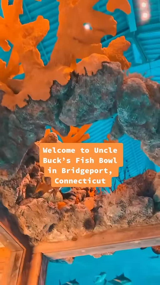 You didn’t know about this CT bowling alley

📍Uncle Buck’s Fish Bowl at @bassproshops in Bridgeport, CT

Under the sea themed bowling alley with snacks + cocktails🎳🪸🐠🍹🍔

If there’s a wait, explore the massive store! 

#bassproshop #underthesea #bridgeportct #bowlingalley #thekaylamurphy