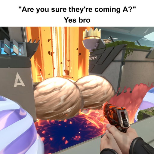 like… yes THEY ARE A

@fnatic.valorant 
#valorant #valorantmemes #valorantfunny #gaming #gamingmemes