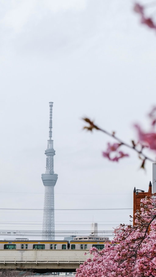 You, me & Tokyo in 2026?
Let's get lost in Tokyo, Japan 🇯🇵

#tokyo #japan #travel