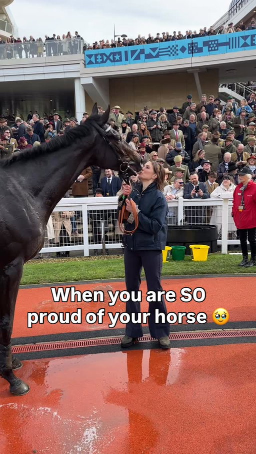 Minella Study finished third in the @jcbmachines Triumph, he’s got a special bond with his groom Jennie 🤩