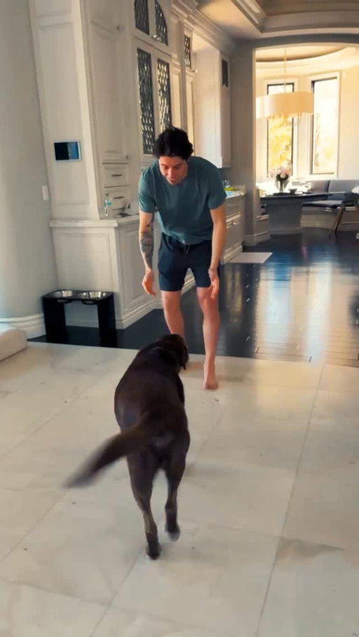 the day after I got home from the Olympics. missed you too Zeus 😂

#FuelIncredible #PetFoodMeetsPerformance #NuloPartner